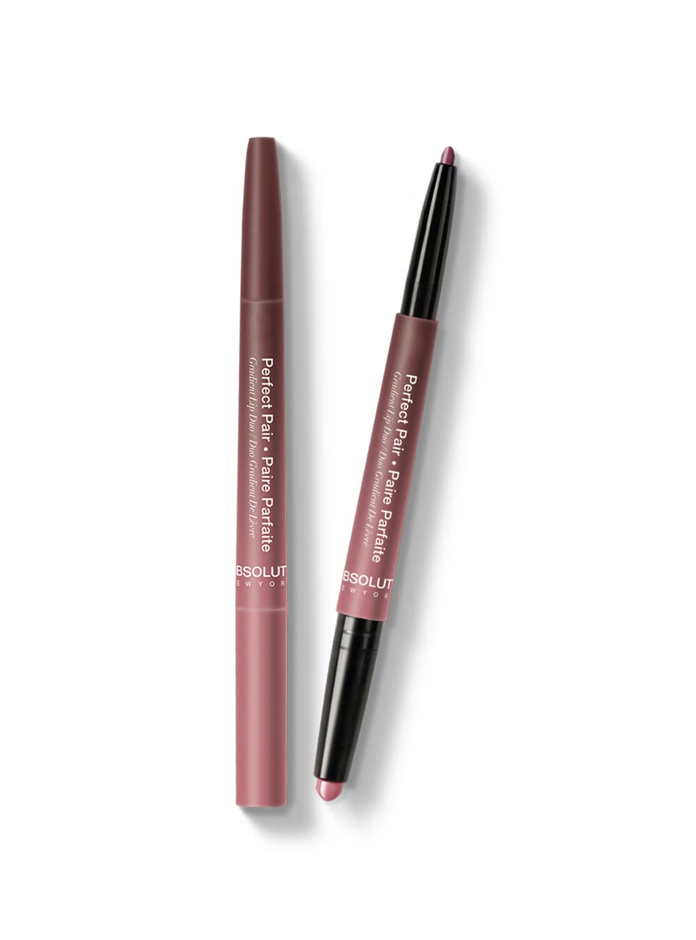 ABSOLUTE PERFECT PAIR . DUO PARFAIT GRADIENT LIP DUO ALD04 ROSE WOOD  0.007 Oz